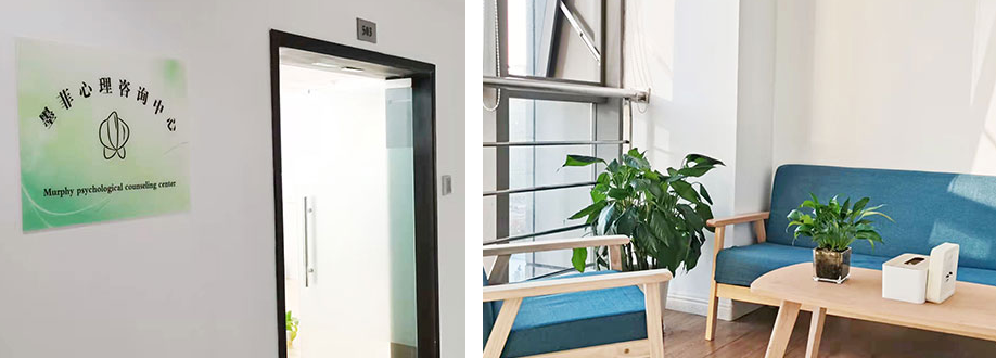 心理咨询 心理咨询